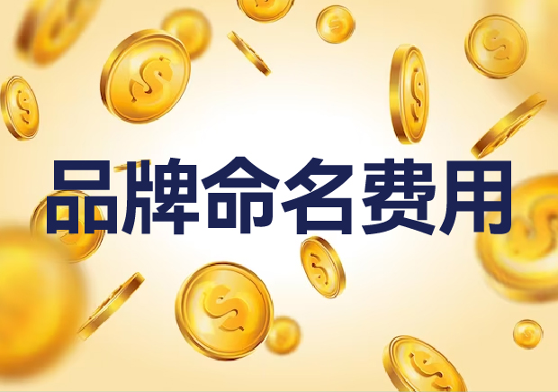 國內(nèi)外品牌命名費用是多少？