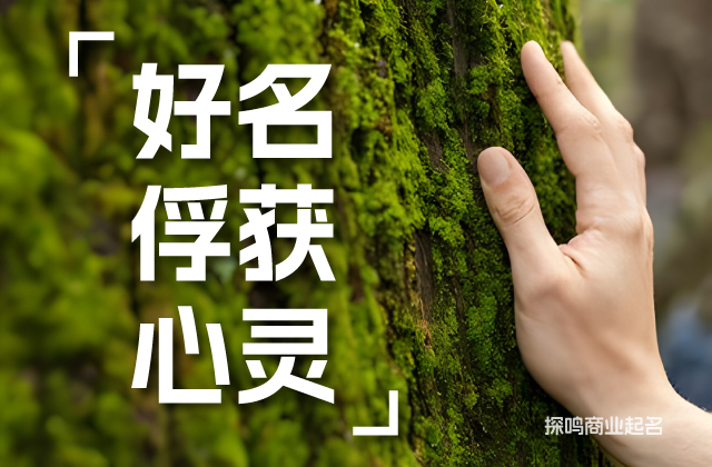 童裝品牌與商標(biāo)的起名是一項(xiàng)需要綜合考慮獨(dú)特性、內(nèi)容豐富性等多方面因素的任務(wù).jpeg